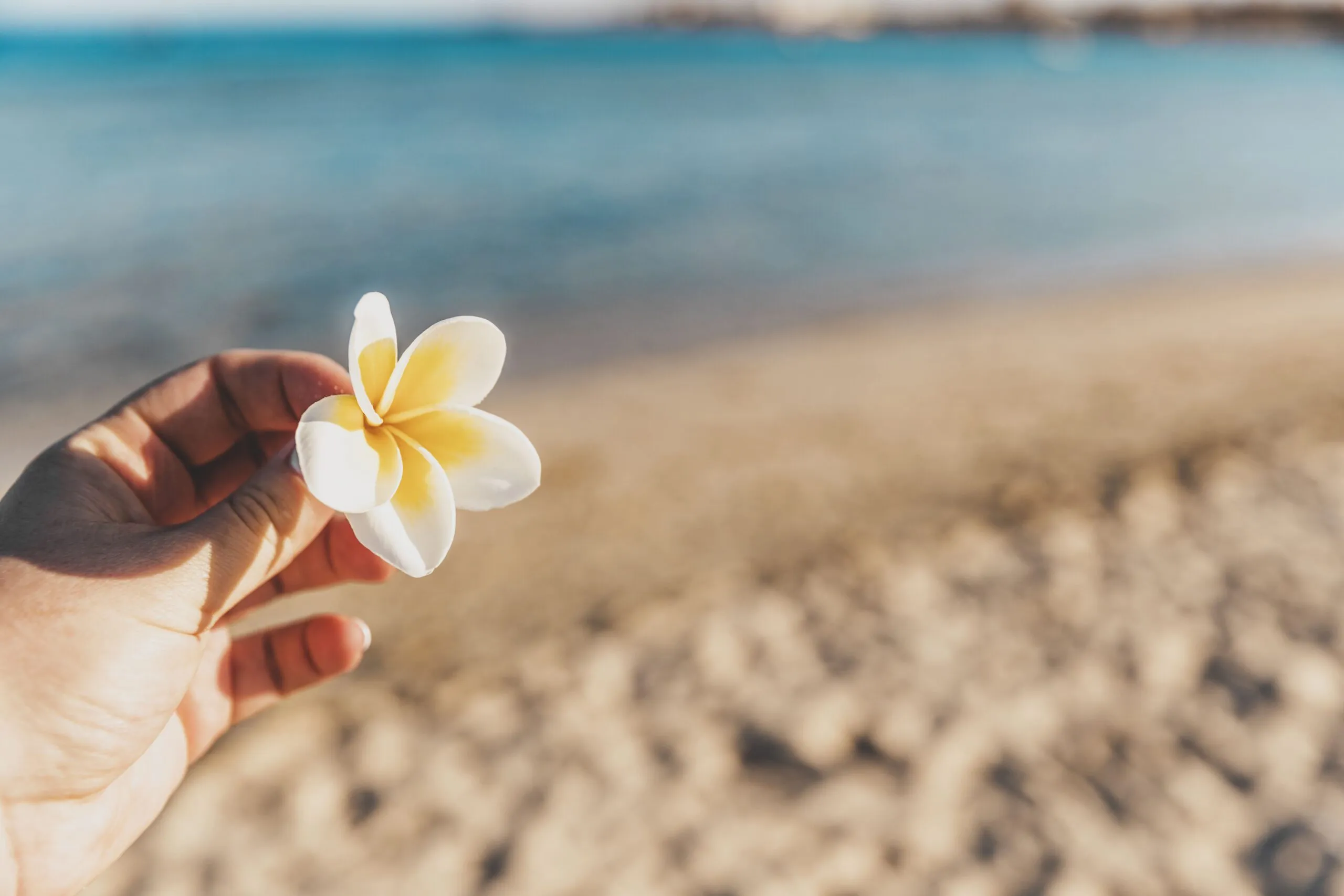 Understanding Timeshare Law in Hawaii