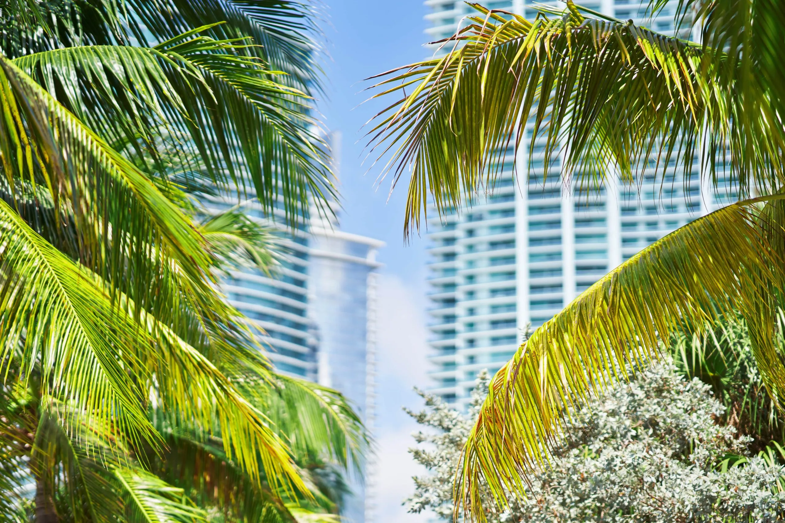 Timeshares in Miami: The Hidden Truths and How to Escape