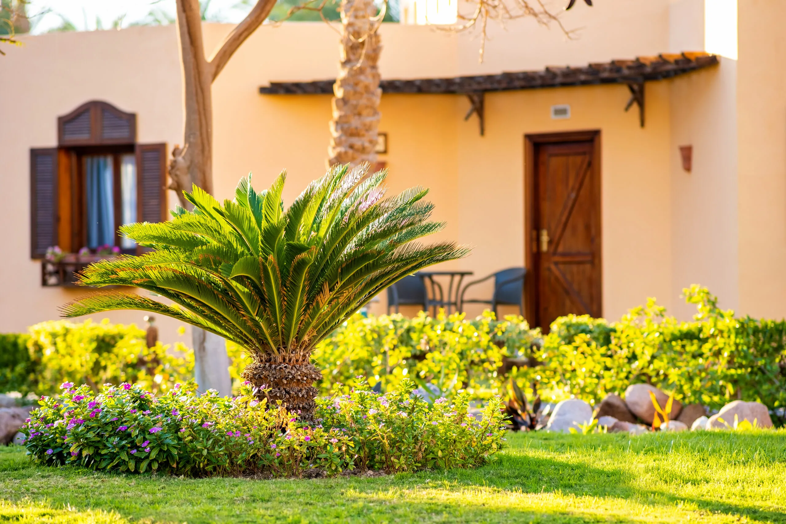 Hidden Costs of Holding Onto a Timeshare in America