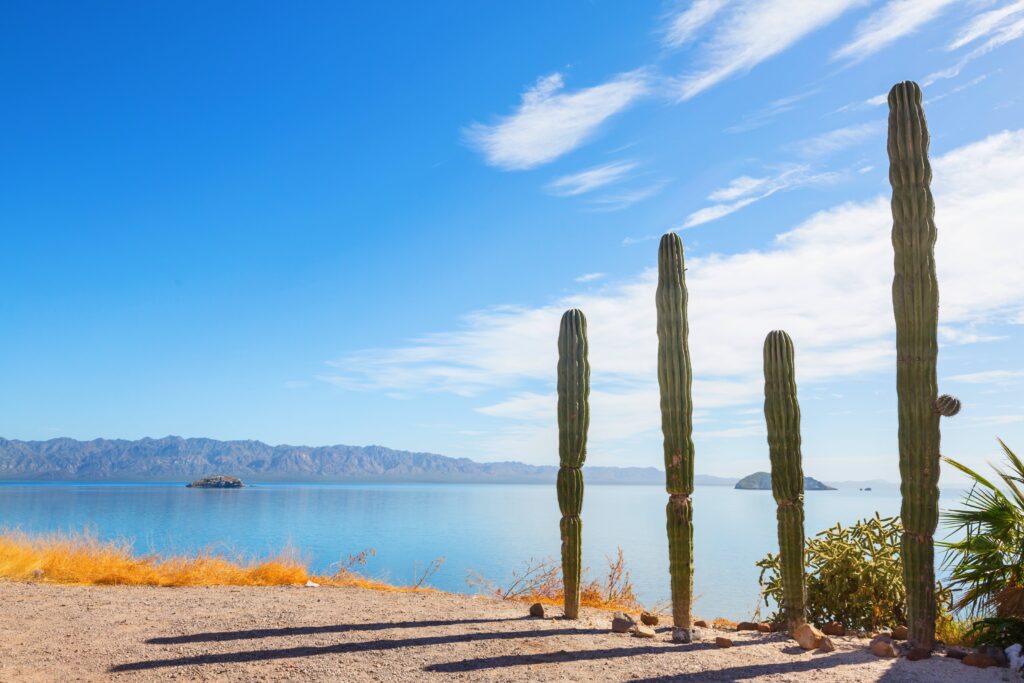Timeshare Laws in Arizona: Consumer Protection, Public Offering & Cancellation Rights
