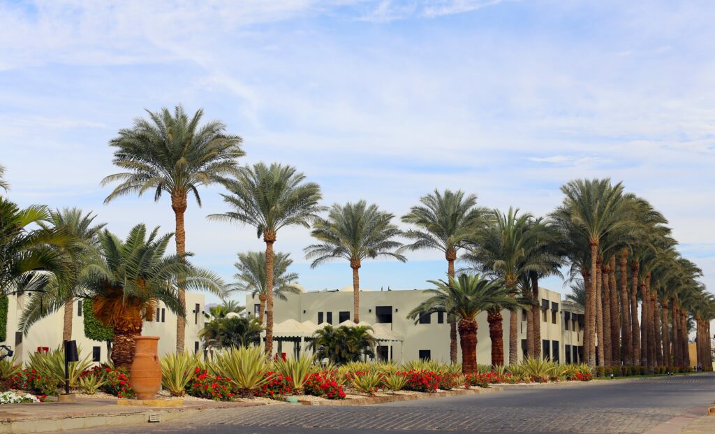 Timeshare Laws in Arizona: Consumer Protection, Public Offering & Cancellation Rights