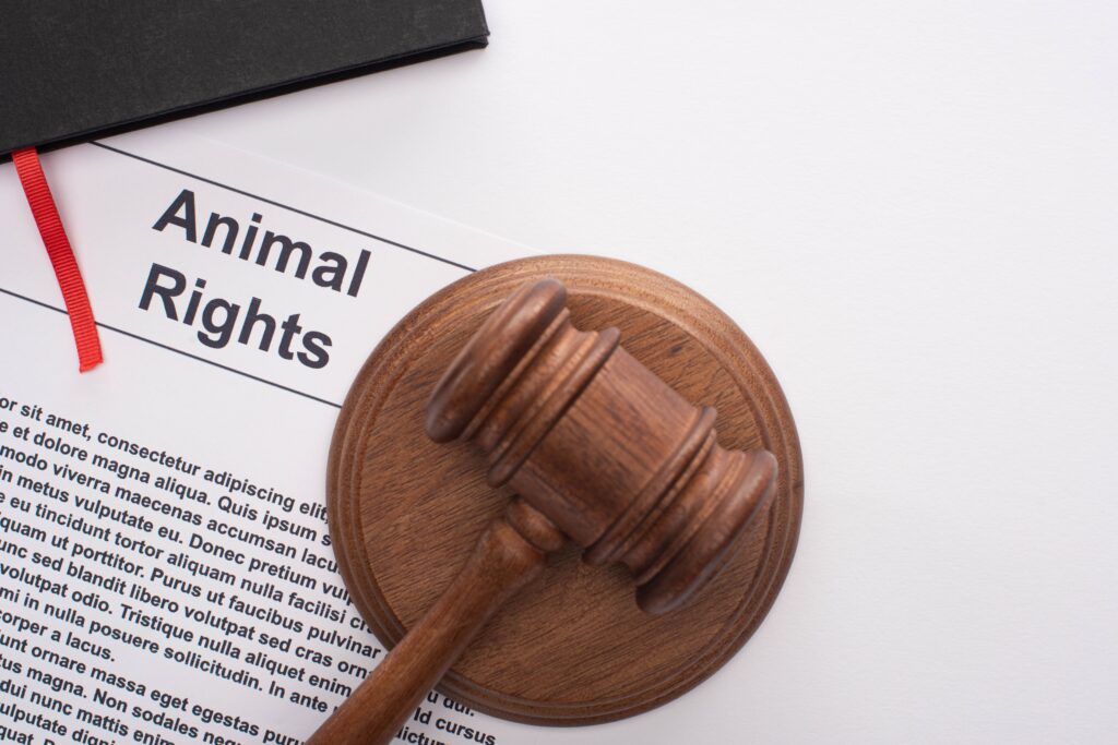 Understanding Timeshare Laws in Washington State: A Complete Guide to Your Rights and Obligations