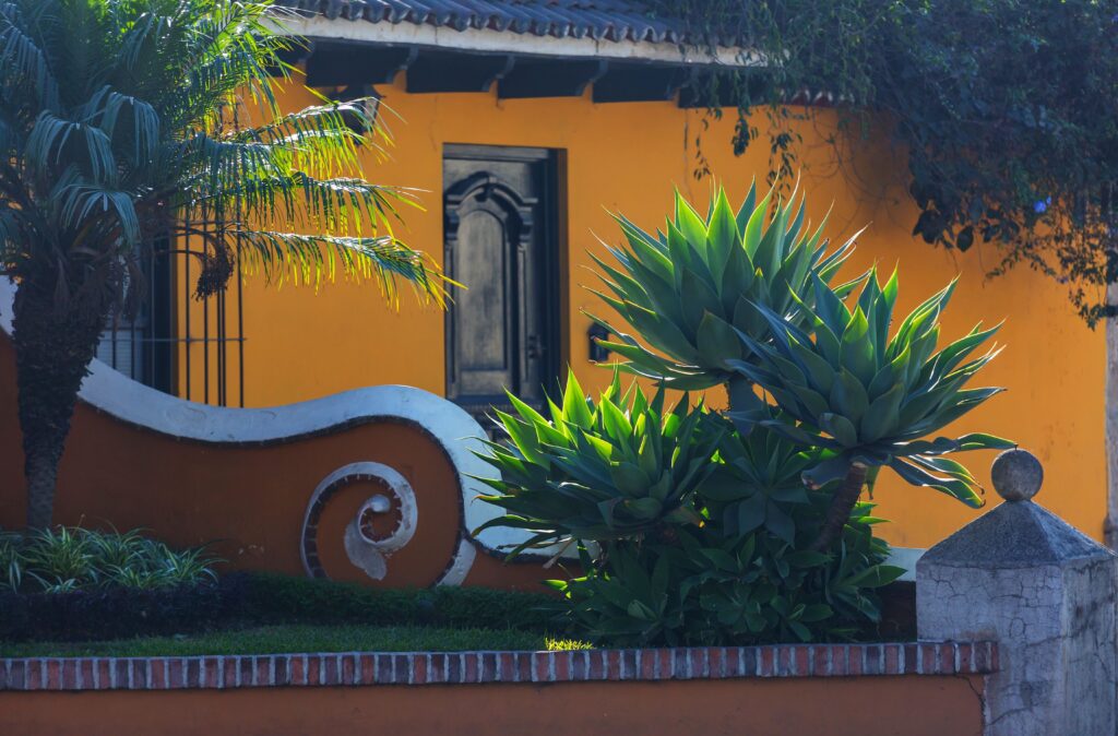 Timeshare Exposé: Riviera Nayarit's Hidden Reality