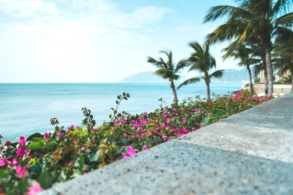 Timeshares in Mazatlan: Hidden Fees & Smart Exits
