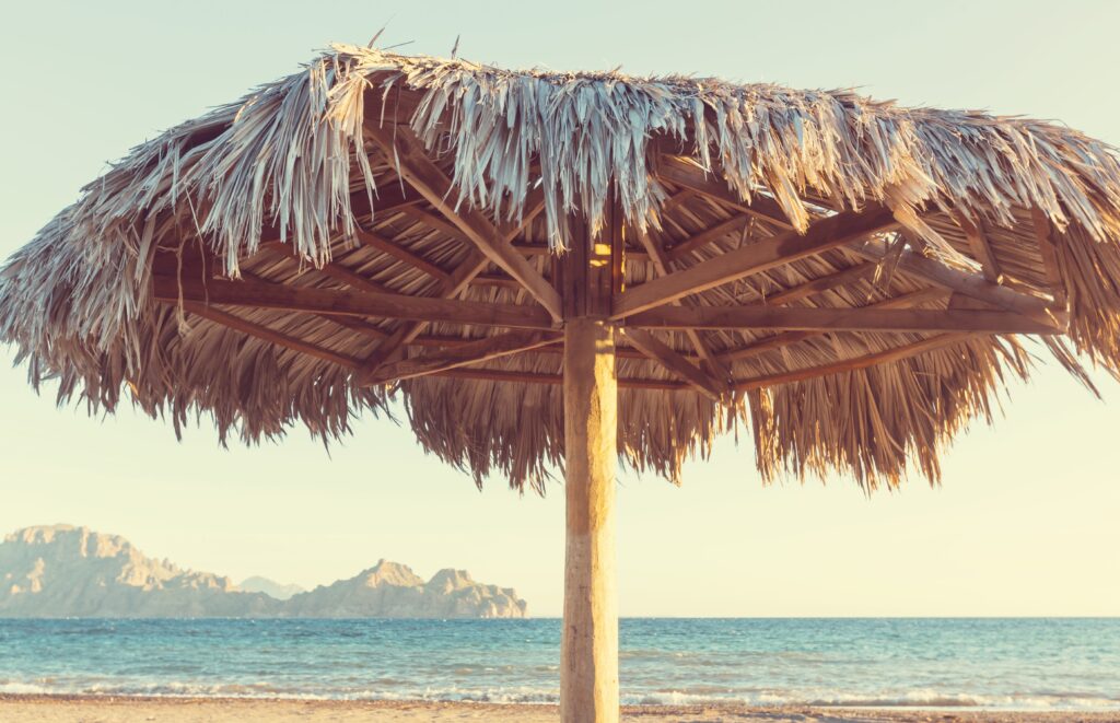 Timeshares in Mazatlan: Hidden Fees & Smart Exits