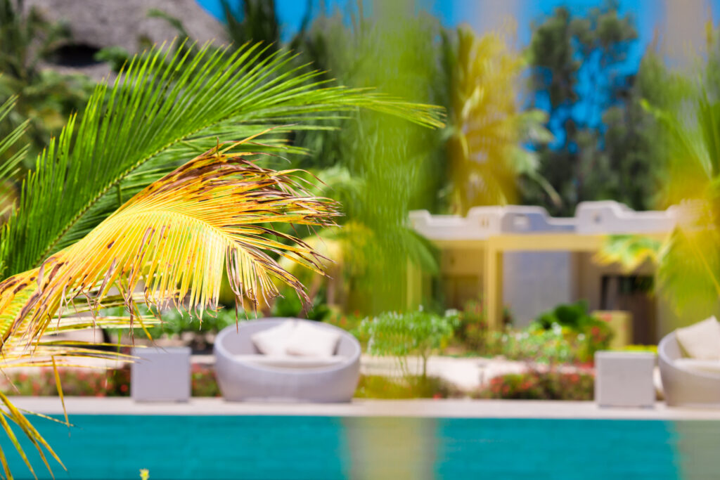 Thousands Have Left Their Timeshares. You Can Too. | Freedom